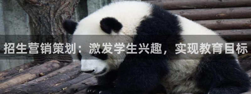 必赢网址谁知道是真的
