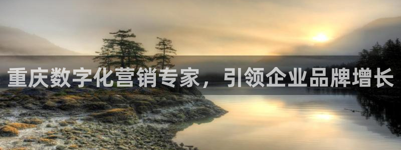 9965必赢棋官方网站怎么样