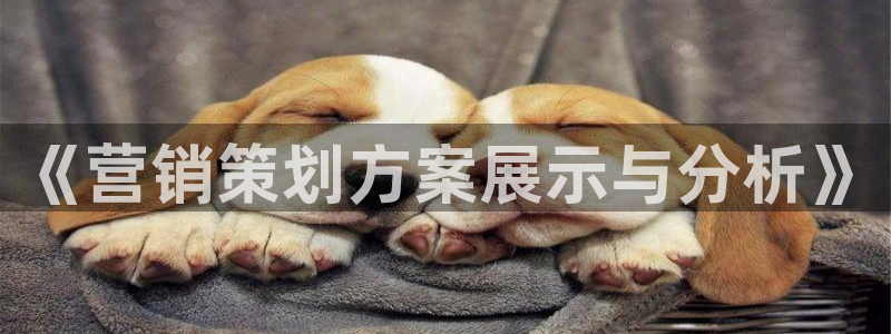 必赢3003 会员账号