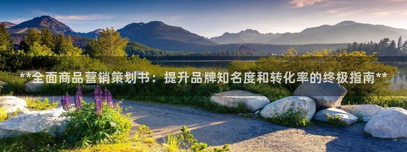 必赢官网网站首页