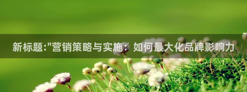 必赢平台官方客服电话