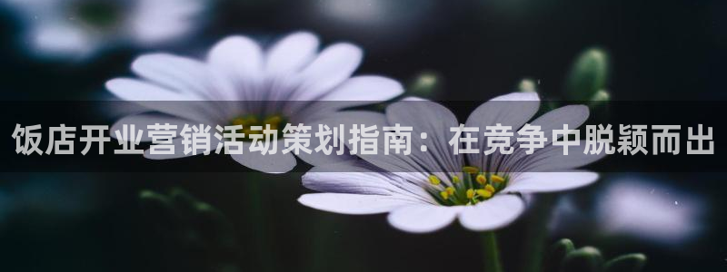 必赢下载苹果手机app