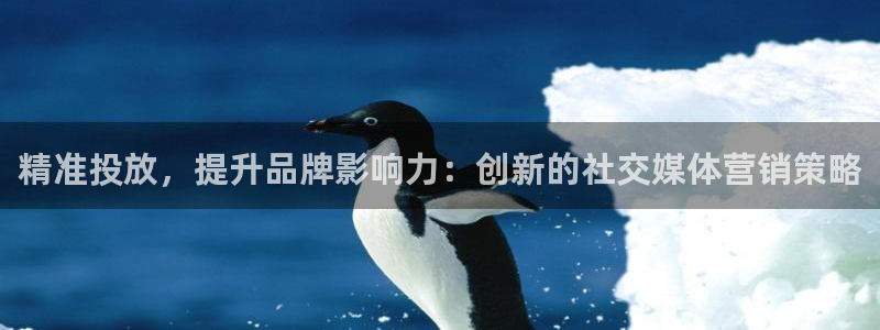必赢网站平台登录