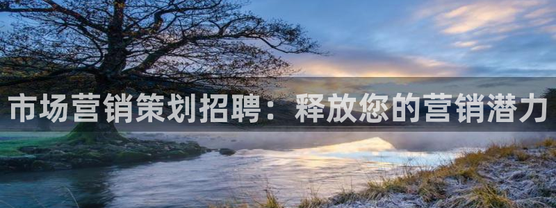 必赢bwinapp