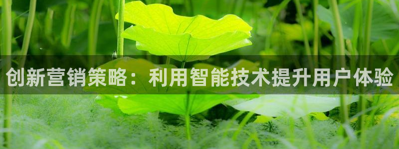 必赢国际游戏登录
