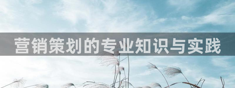 必赢8833扑鱼