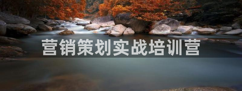 必赢网址手机主页打不开