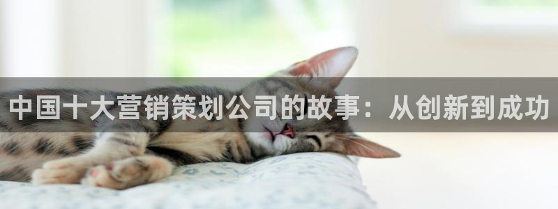 必赢国际437app下载