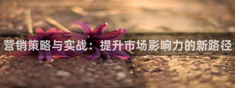 必赢这个软件怎么样知乎