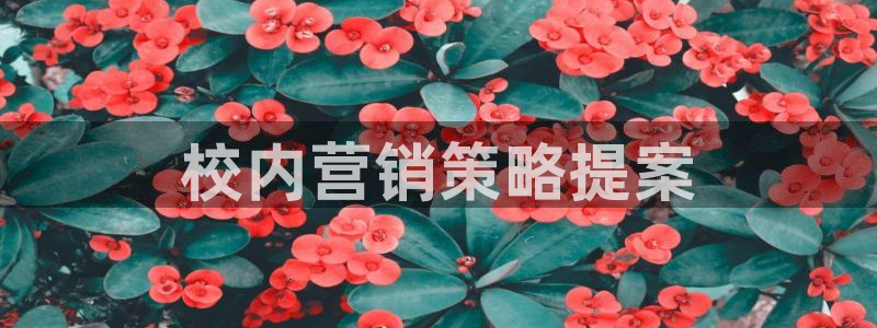 必赢平台官方网址