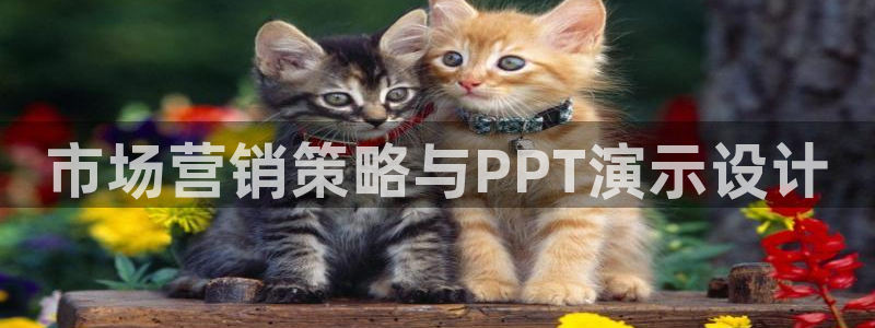 必赢线上网址