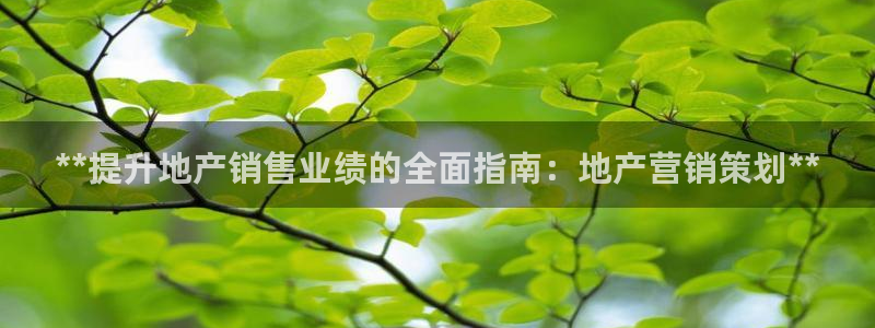必赢3003am