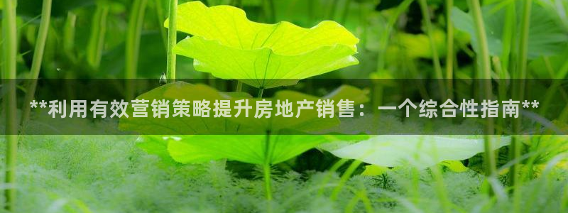 必赢平台怎么样