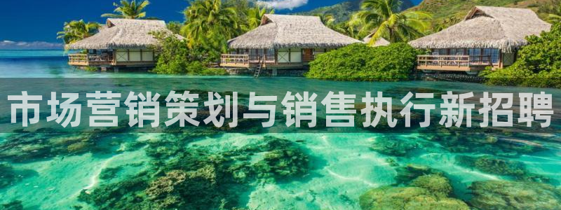 必赢线上网址