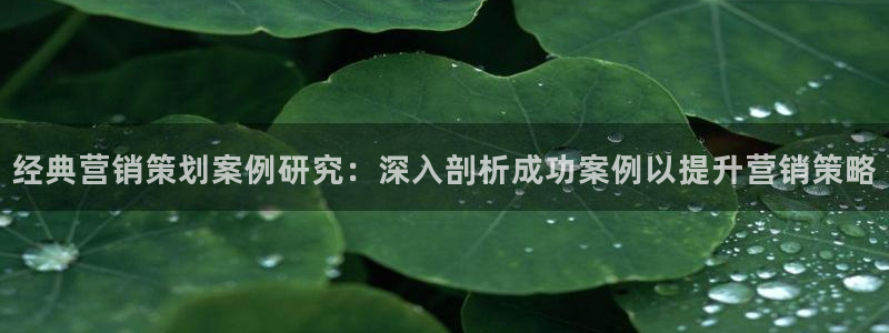437437必赢国际怎么充不了钱
