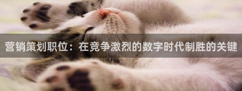 必赢最新