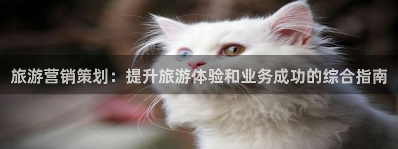 必赢app官方