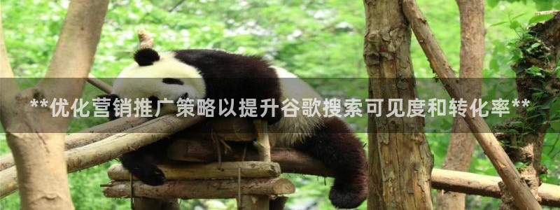必赢客软件