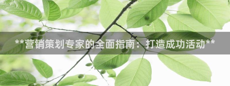 必赢集团网站