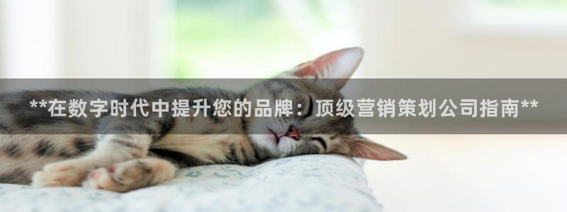 必赢官网入口下载app