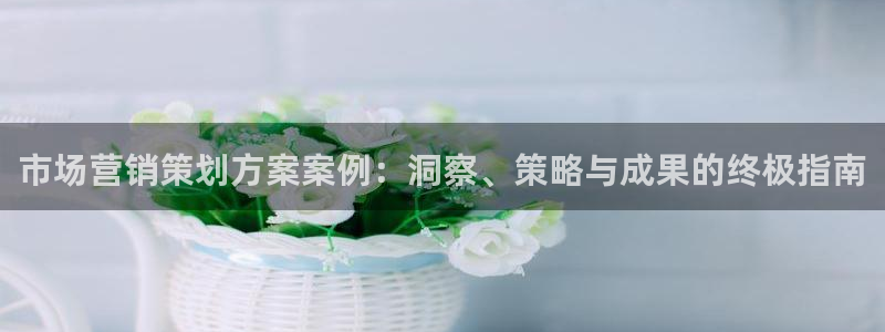 必赢平台怎么样