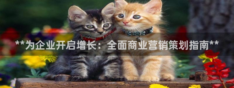 必赢官网网站入口下载