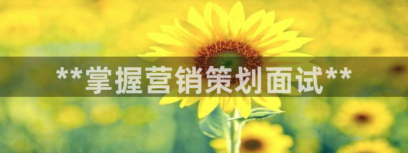 必赢网站是多少啊