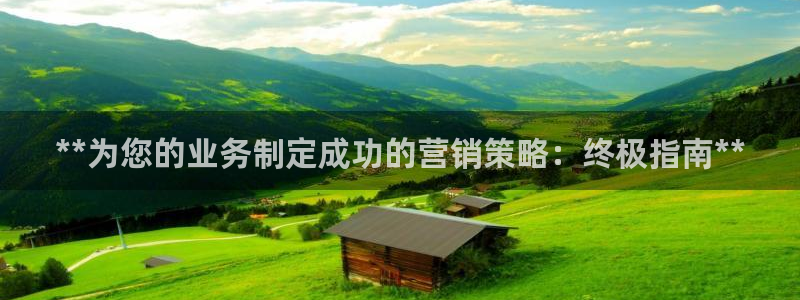 必赢app是干什么的