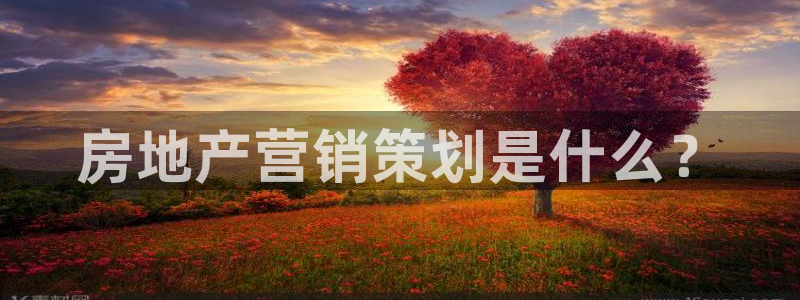 必赢官网入口下载app