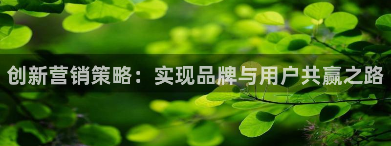 必赢官网网址多少号登录不了