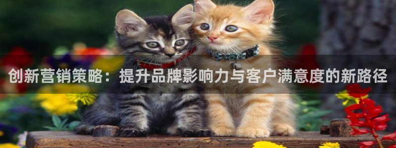 必赢88