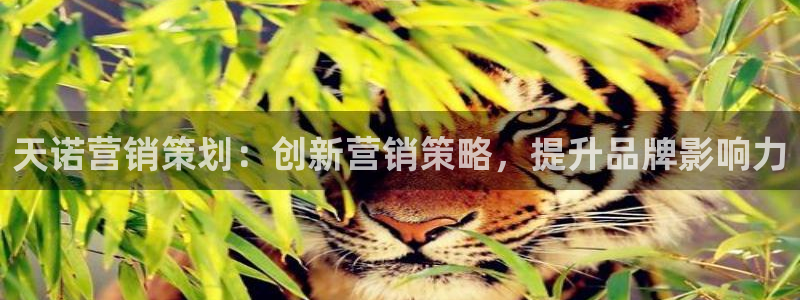 必赢8833扑鱼