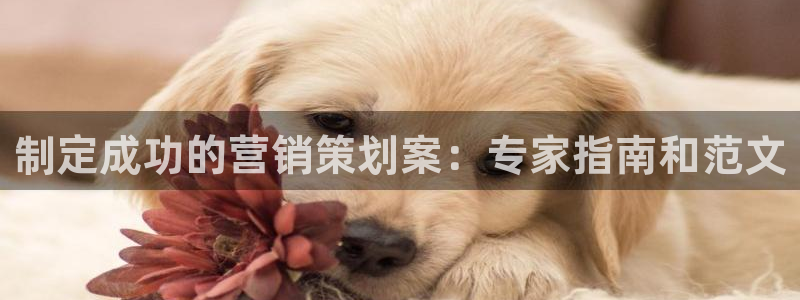 必赢平台官方网址