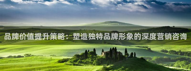 必赢网址