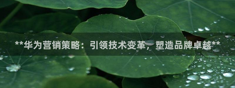 必赢官网网站入口网址