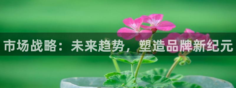 必赢国际的网站多少