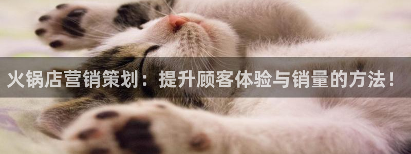 必赢集团winex
