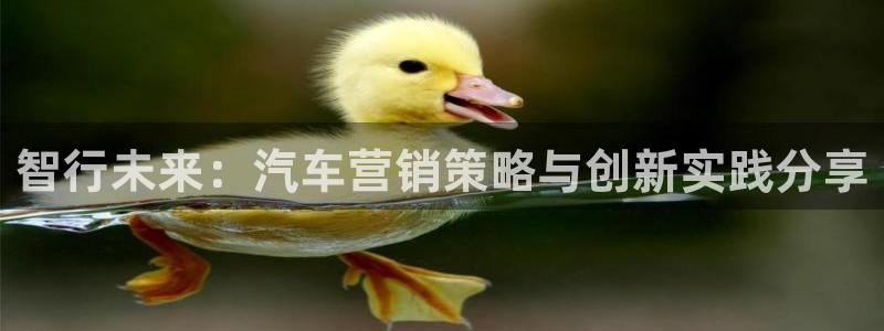 必赢亚赢网站官网下载安卓版