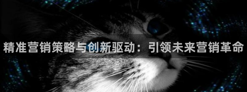 必赢网站进去