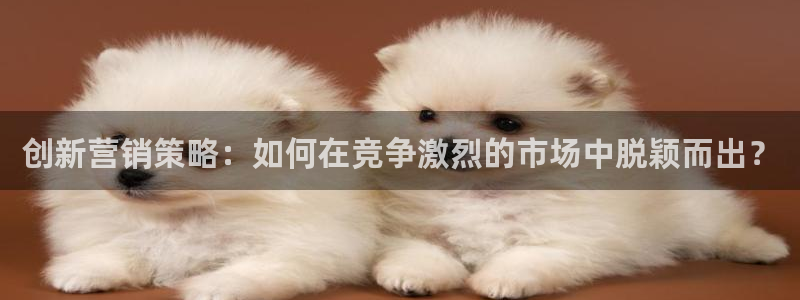 必赢网址谁知道的