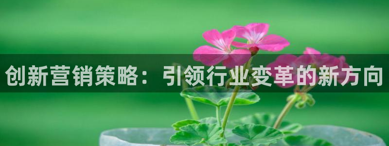 必赢官网app下载苹果版