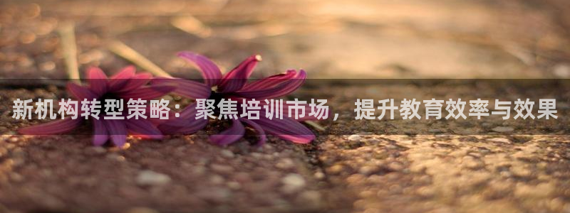 437437必赢国际怎么充不了钱