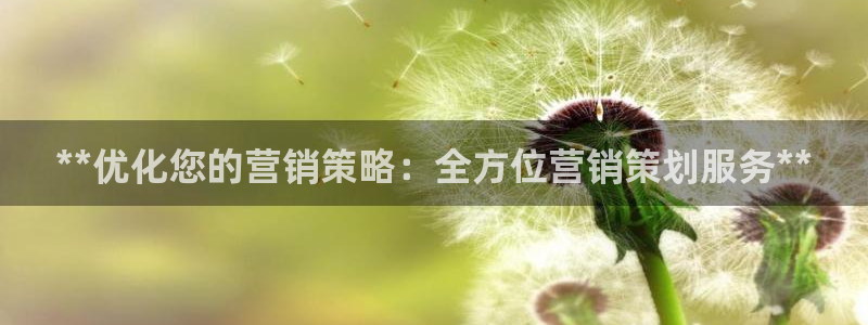 必赢棋脾