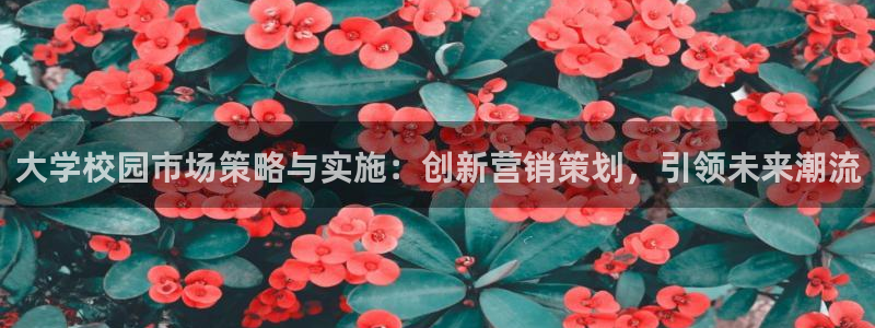 必赢888国际集团