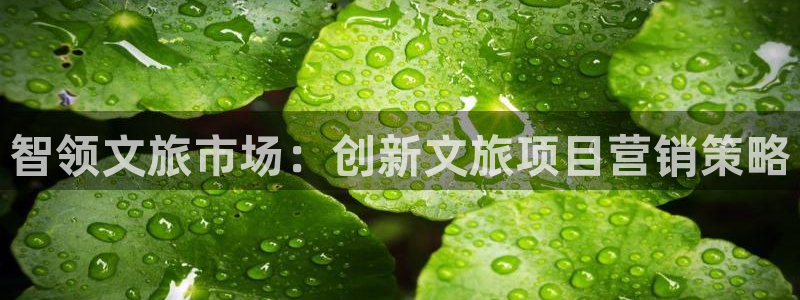 必赢3003手机网页版