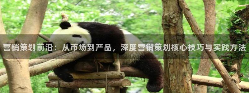 必赢必赢