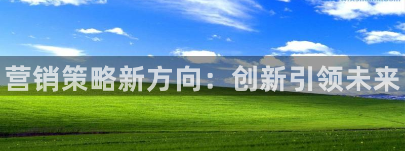 必赢手机app下载官网
