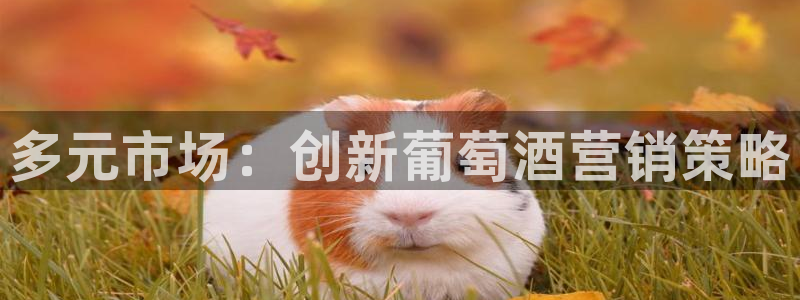 必赢国际437pay,comapp