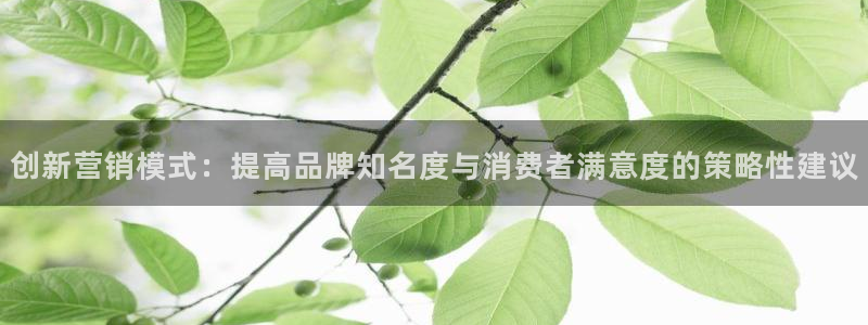 必赢国际437app下载