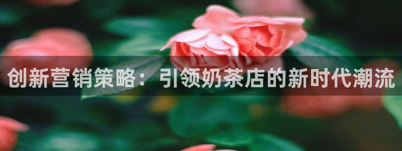 必赢官网网站